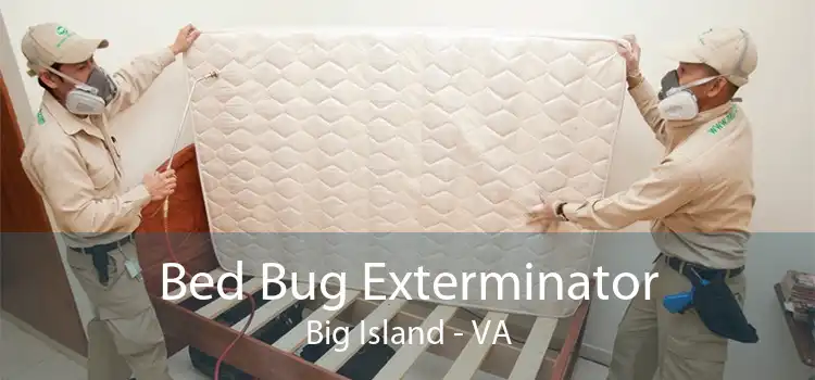 Bed Bug Exterminator Big Island - VA