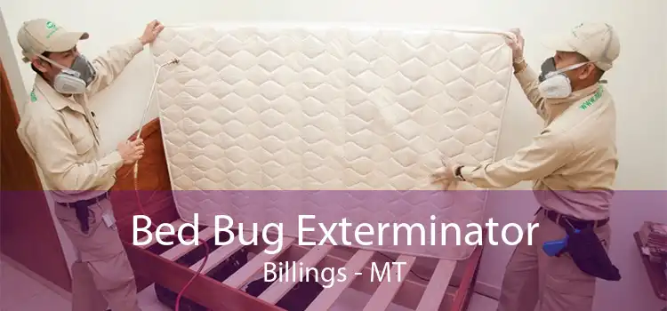 Bed Bug Exterminator Billings - MT