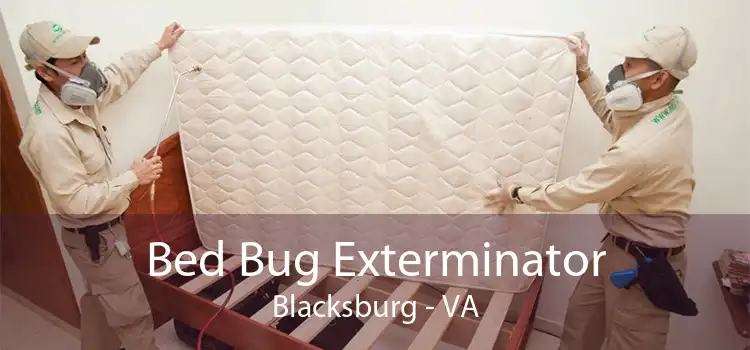 Bed Bug Exterminator Blacksburg - VA