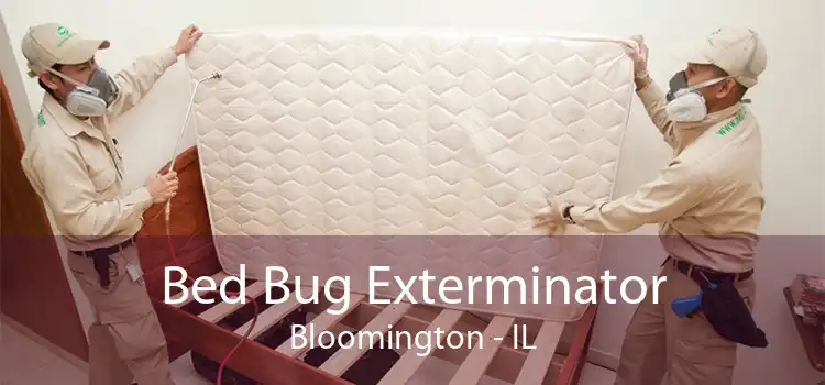 Bed Bug Exterminator Bloomington - IL