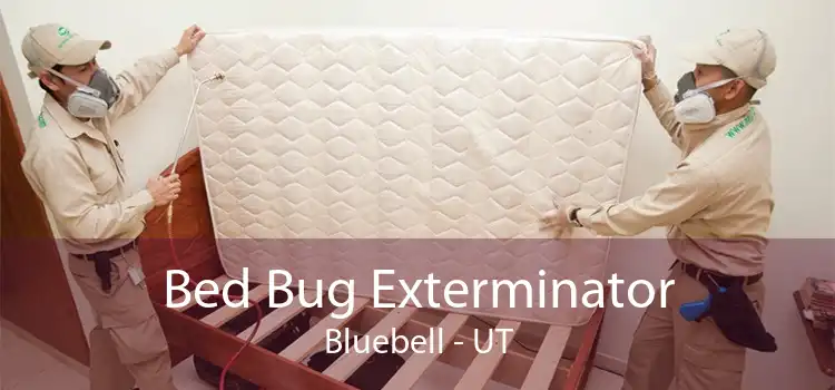 Bed Bug Exterminator Bluebell - UT