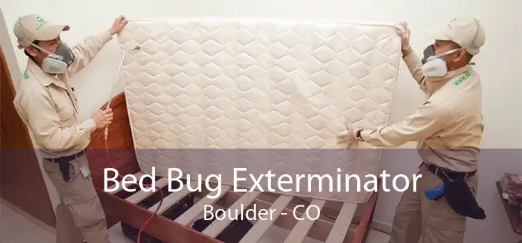 Bed Bug Exterminator Boulder - CO