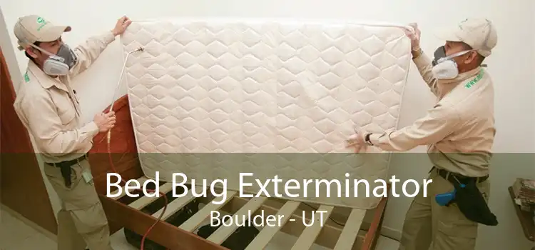 Bed Bug Exterminator Boulder - UT