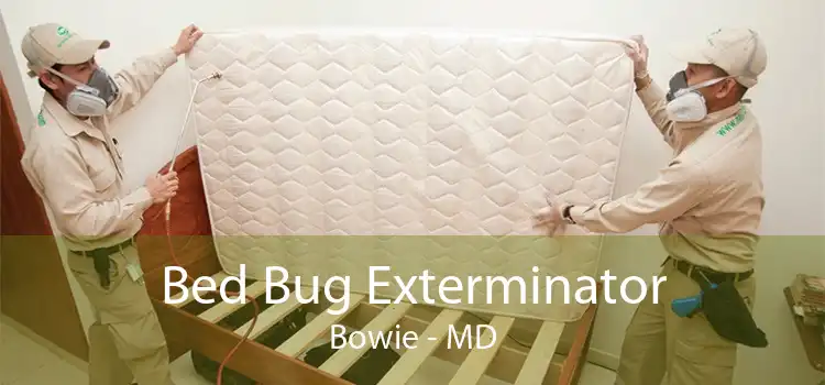 Bed Bug Exterminator Bowie - MD