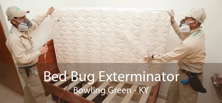 Bed Bug Exterminator Bowling Green - KY