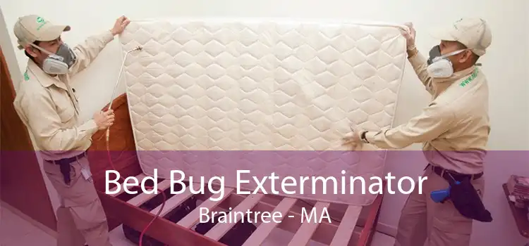 Bed Bug Exterminator Braintree - MA