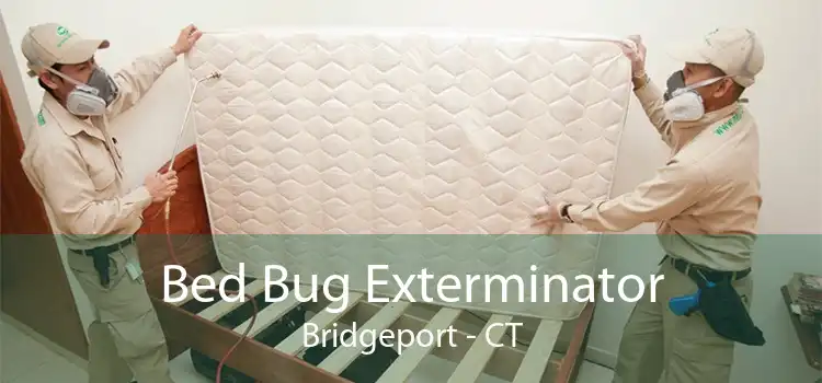 Bed Bug Exterminator Bridgeport - CT