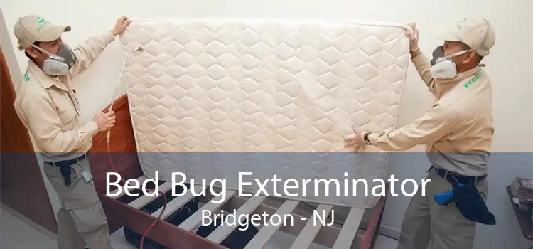 Bed Bug Exterminator Bridgeton - NJ