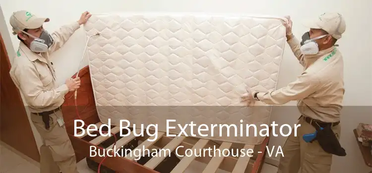 Bed Bug Exterminator Buckingham Courthouse - VA