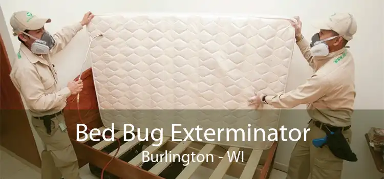 Bed Bug Exterminator Burlington - WI