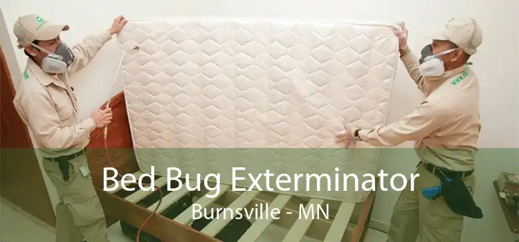 Bed Bug Exterminator Burnsville - MN