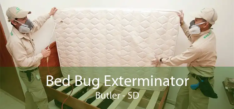 Bed Bug Exterminator Butler - SD