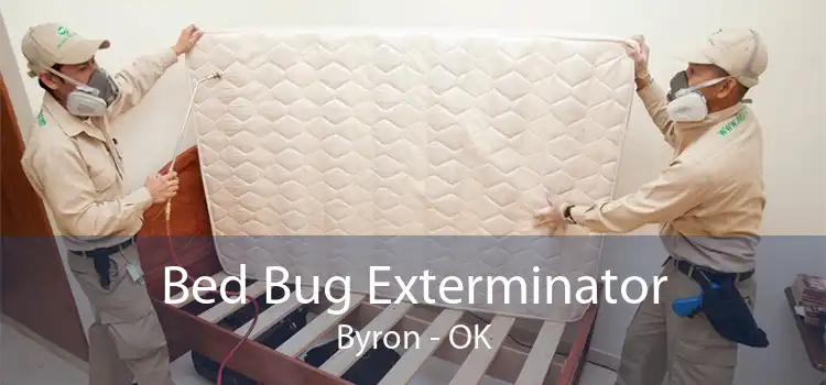 Bed Bug Exterminator Byron - OK