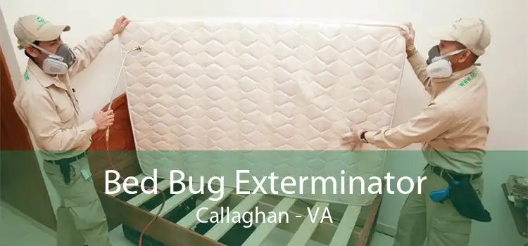 Bed Bug Exterminator Callaghan - VA