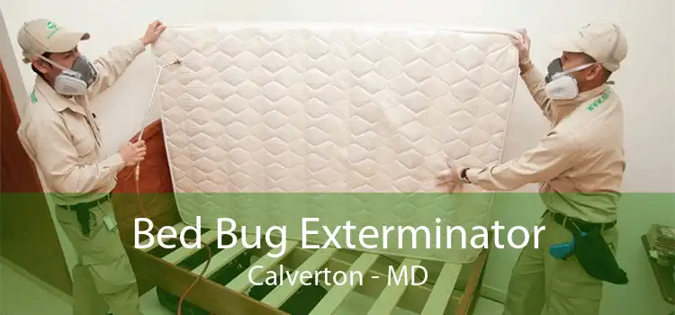 Bed Bug Exterminator Calverton - MD