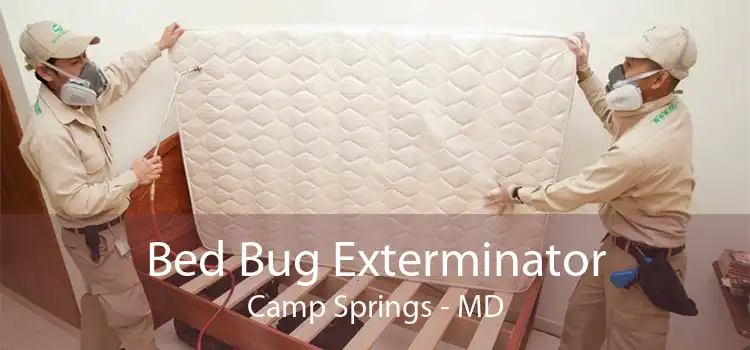 Bed Bug Exterminator Camp Springs - MD