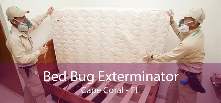 Bed Bug Exterminator Cape Coral - FL