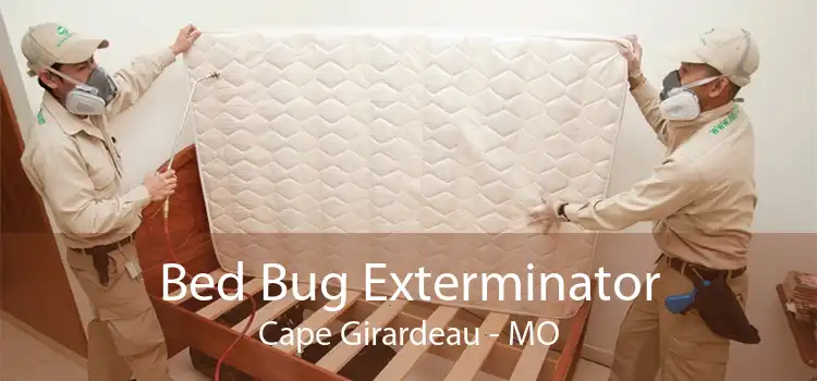 Bed Bug Exterminator Cape Girardeau - MO
