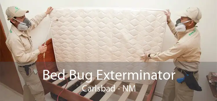 Bed Bug Exterminator Carlsbad - NM
