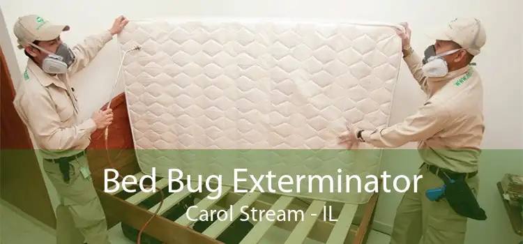 Bed Bug Exterminator Carol Stream - IL