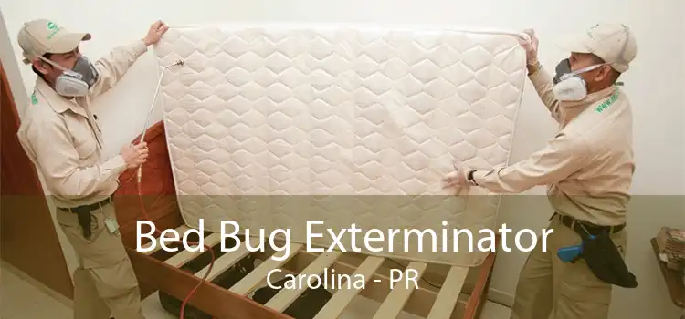 Bed Bug Exterminator Carolina - PR