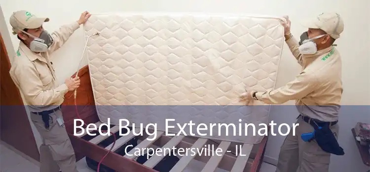 Bed Bug Exterminator Carpentersville - IL