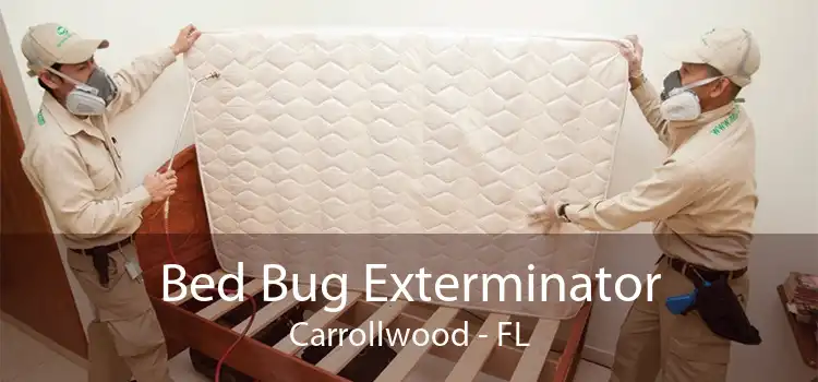 Bed Bug Exterminator Carrollwood - FL