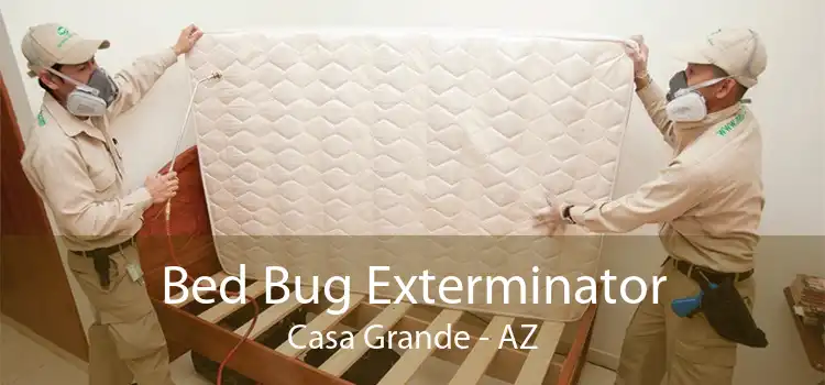 Bed Bug Exterminator Casa Grande - AZ