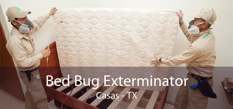 Bed Bug Exterminator Casas - TX