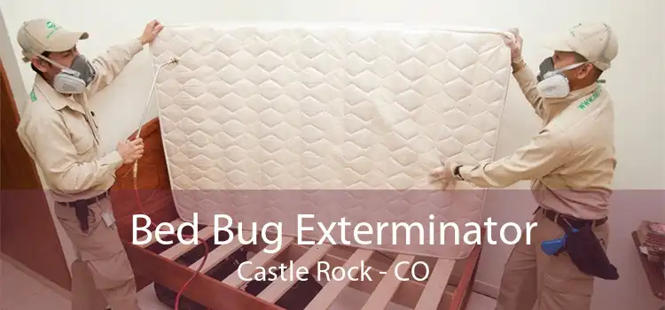 Bed Bug Exterminator Castle Rock - CO