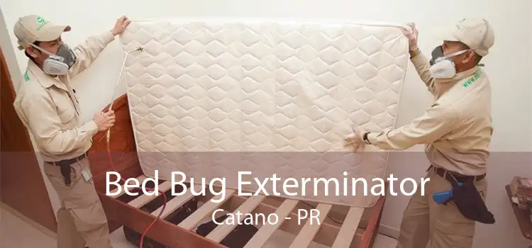 Bed Bug Exterminator Catano - PR