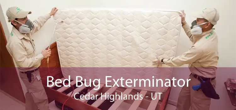 Bed Bug Exterminator Cedar Highlands - UT