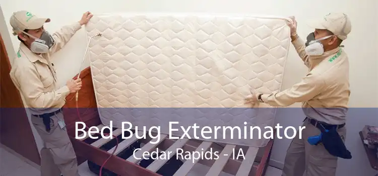 Bed Bug Exterminator Cedar Rapids - IA