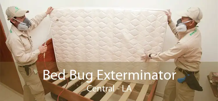 Bed Bug Exterminator Central - LA