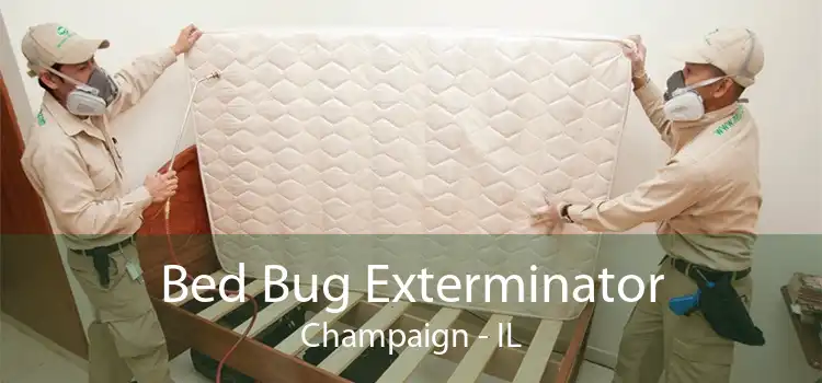 Bed Bug Exterminator Champaign - IL