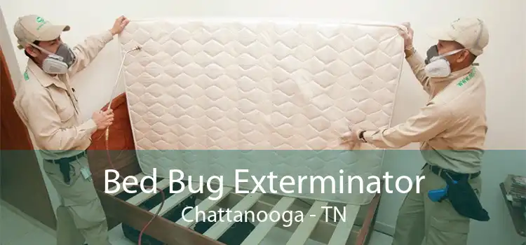 Bed Bug Exterminator Chattanooga - TN