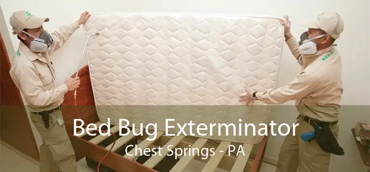 Bed Bug Exterminator Chest Springs - PA