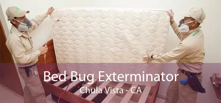 Bed Bug Exterminator Chula Vista - CA