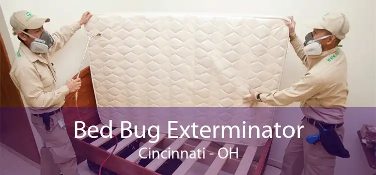 Bed Bug Exterminator Cincinnati - OH