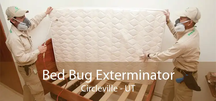 Bed Bug Exterminator Circleville - UT