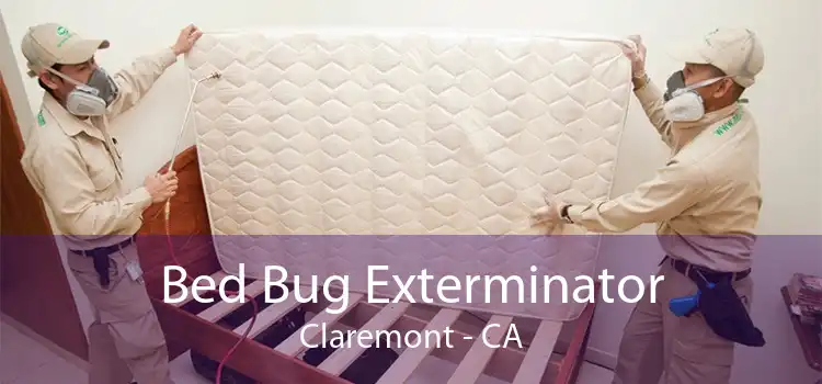 Bed Bug Exterminator Claremont - CA