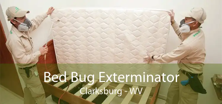 Bed Bug Exterminator Clarksburg - WV