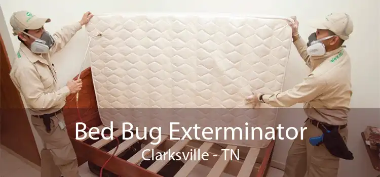 Bed Bug Exterminator Clarksville - TN