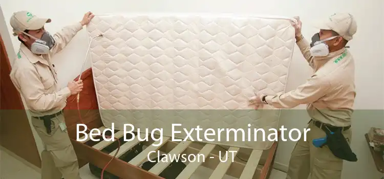 Bed Bug Exterminator Clawson - UT