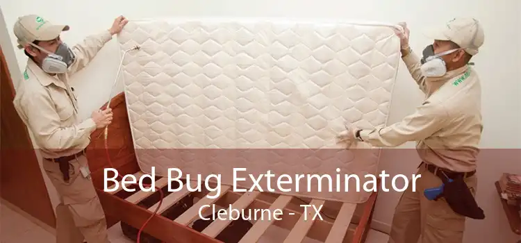 Bed Bug Exterminator Cleburne - TX