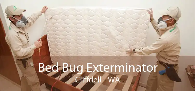 Bed Bug Exterminator Cliffdell - WA