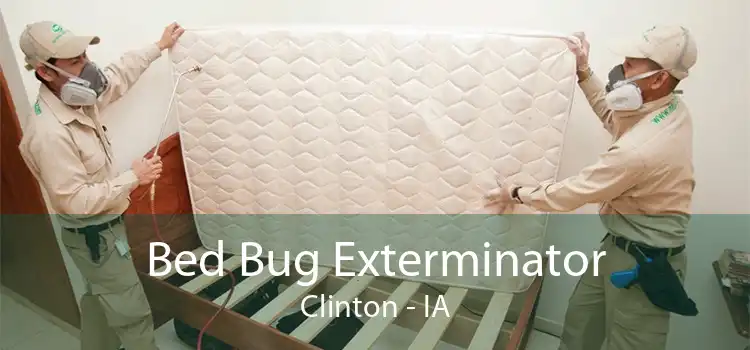 Bed Bug Exterminator Clinton - IA