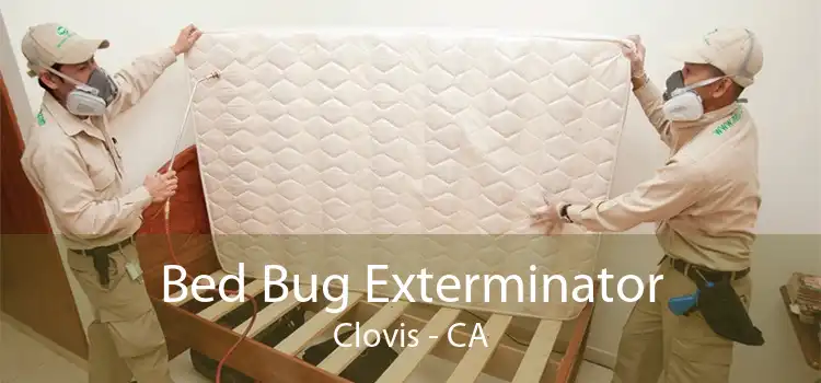 Bed Bug Exterminator Clovis - CA