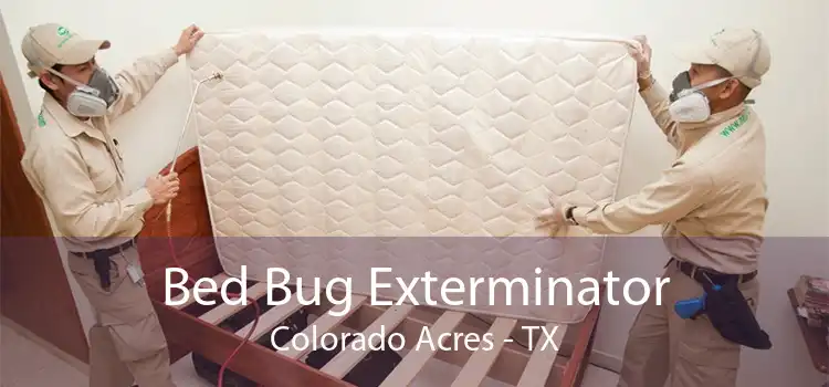 Bed Bug Exterminator Colorado Acres - TX