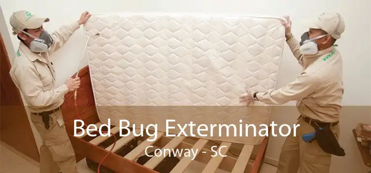 Bed Bug Exterminator Conway - SC